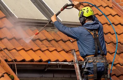 Démoussage et hydrofuge de toiture à Bellenaves